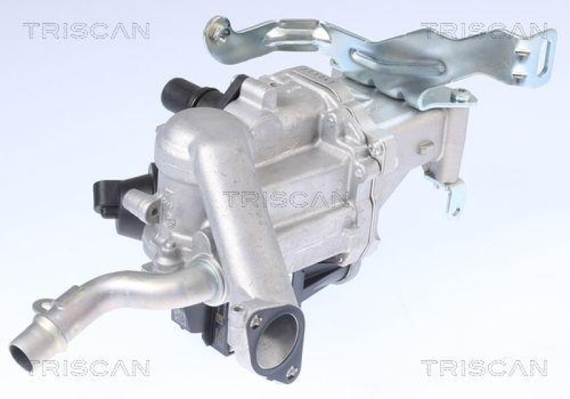 TRISCAN 8813 10106 Agr Ventil f&uuml;r Psa, Volvo, Ford