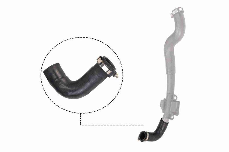 VAICO V46-0828 Ladeluftschlauch f&uuml;r RENAULT