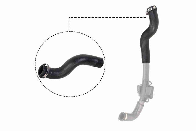 VAICO V46-0830 Ladeluftschlauch für RENAULT