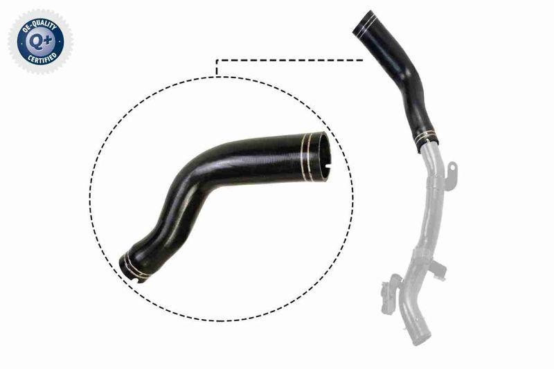 VAICO V24-0694 Ladeluftschlauch f&uuml;r FIAT