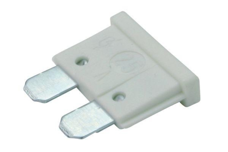 BOSCH 1 904 529 908 Sicherung