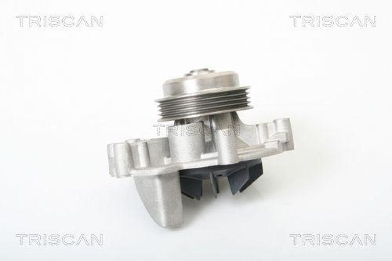TRISCAN 8600 28006 Wasserpumpe f&uuml;r Citroen, Peugeot