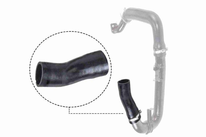 VAICO V24-0697 Ladeluftschlauch Klein f&uuml;r FIAT