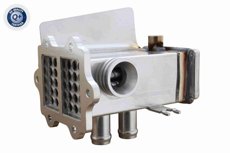 VEMO V10-63-0195 K&uuml;hler, Abgasr&uuml;ckf&uuml;hrung f&uuml;r VW