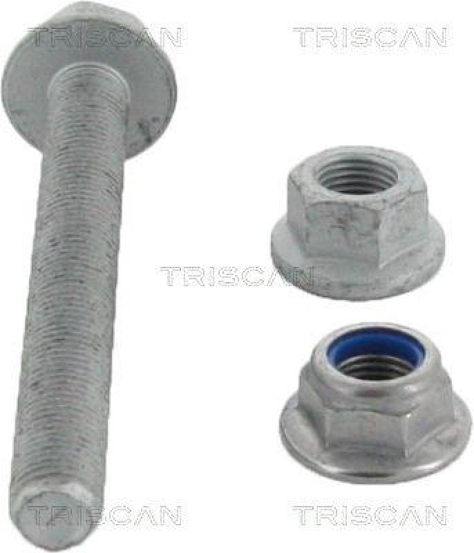TRISCAN 8500 11405 Bolzensatz für Bmw