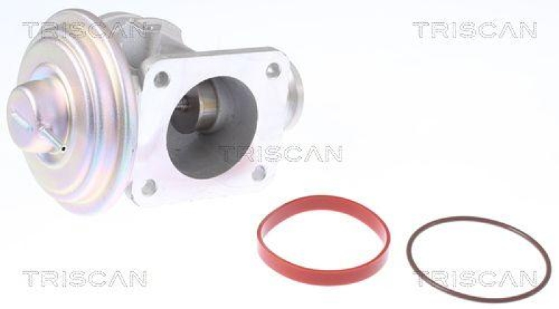 TRISCAN 8813 11004 Agr Ventil f&uuml;r Bmw