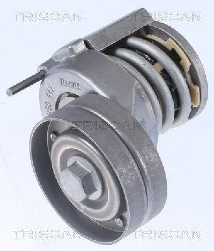 TRISCAN 8641 293018 Riemenspanneinheit für Vag