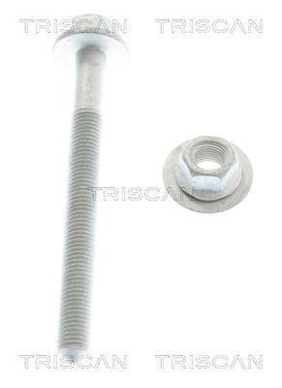 TRISCAN 8500 29407 Bolzensatz für Boltsæt