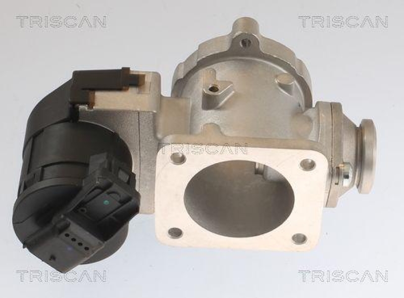 TRISCAN 8813 11020 Agr Ventil f&uuml;r Bmw