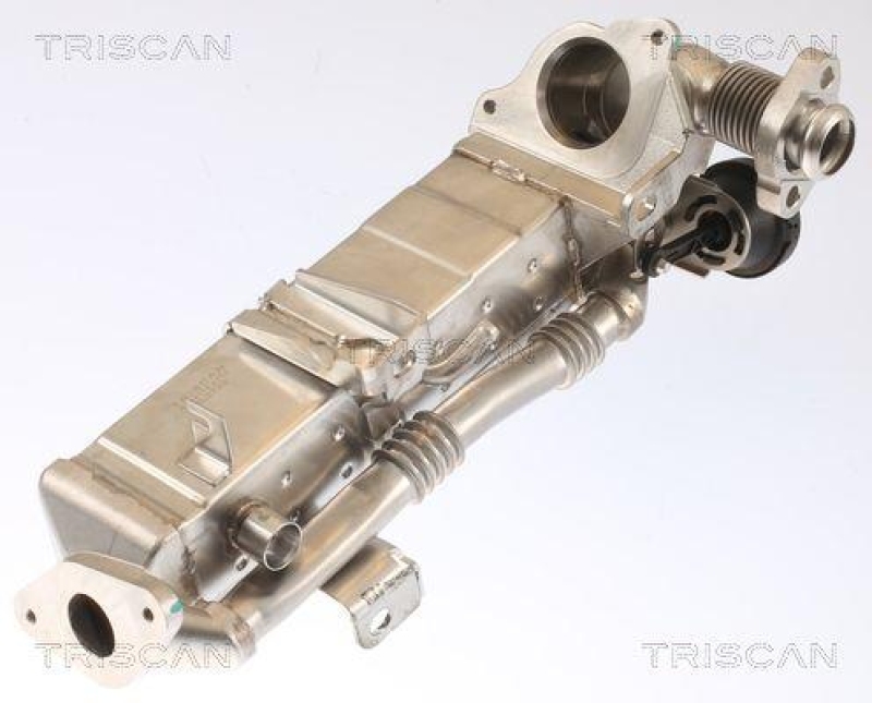 TRISCAN 8813 11021 f&uuml;r Bmw