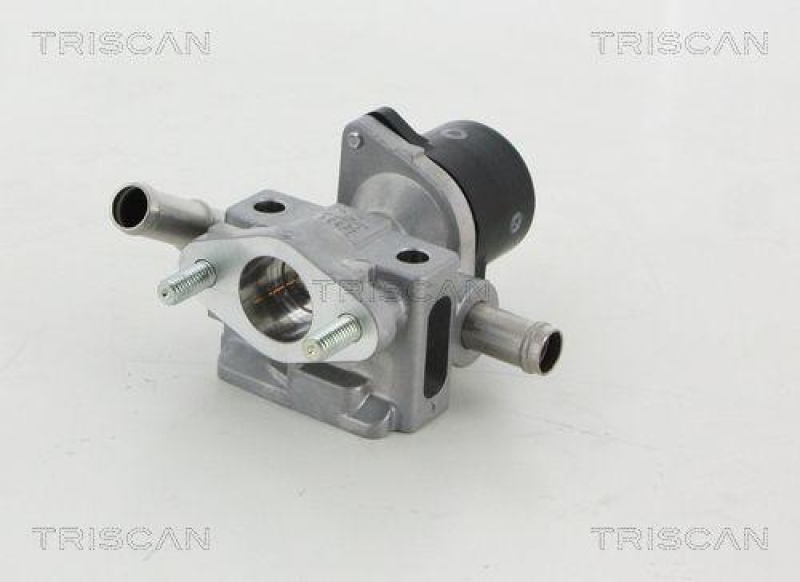 TRISCAN 8813 13052 Agr Ventil f&uuml;r Toyota