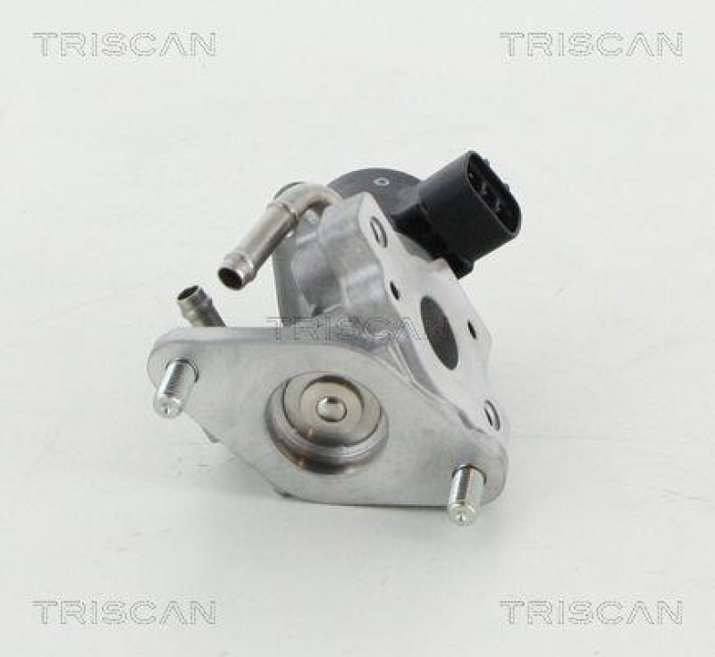 TRISCAN 8813 13057 Agr Ventil f&uuml;r Toyota