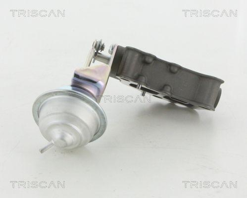 TRISCAN 8813 13058 Agr Ventil f&uuml;r Toyota