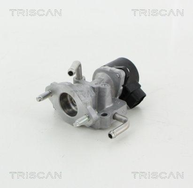 TRISCAN 8813 13059 Agr Ventil f&uuml;r Toyota