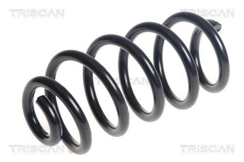TRISCAN 8750 25138 Spiralfeder Hinten für Spiralfjeder