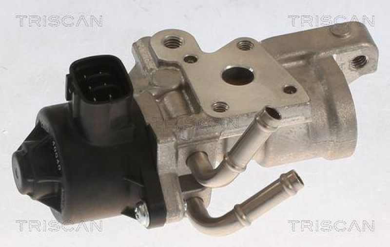 TRISCAN 8813 13070 Agr Ventil f&uuml;r Toyota, Psa