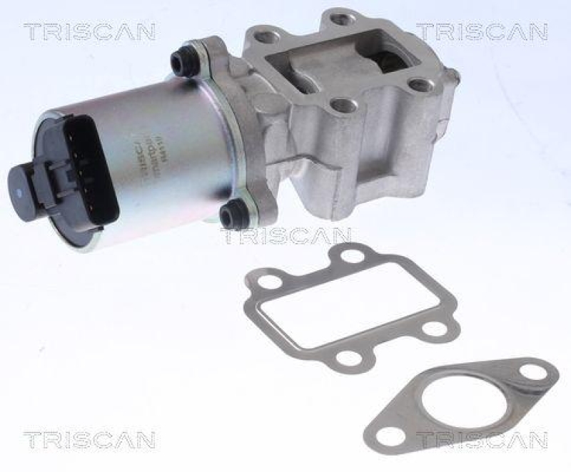 TRISCAN 8813 13100 Agr Ventil f&uuml;r Toyota