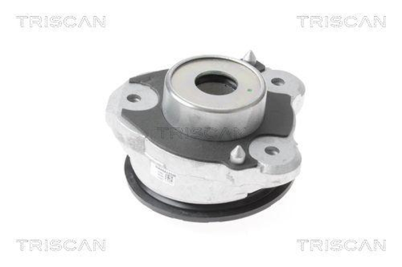 TRISCAN 8500 15918 Federbeinlagersatz f&uuml;r Fiat Ducato