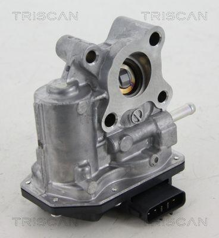 TRISCAN 8813 13200 Agr Ventil f&uuml;r Toyota