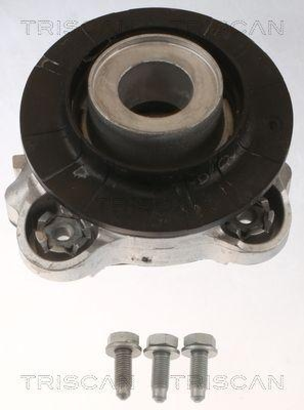 TRISCAN 8500 15919 Federbeinlagersatz f&uuml;r Fiat Ducato