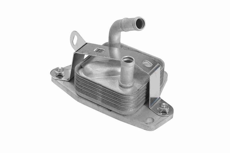 ACKOJA A70-60-0006 Ölkühler, Motoröl für LExUS