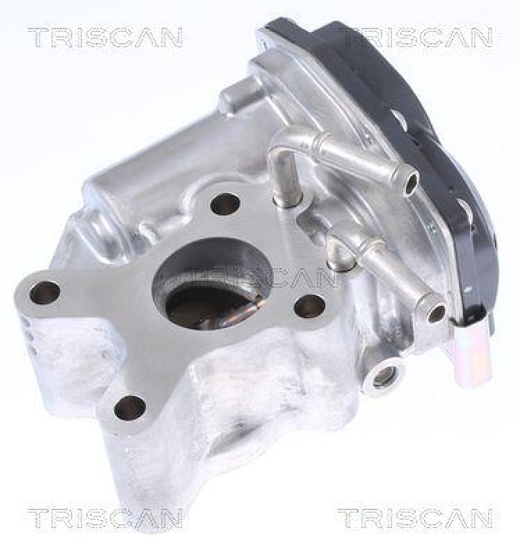 TRISCAN 8813 14015 Agr Ventil f&uuml;r Nissan