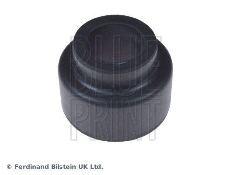 BLUE PRINT ADJ138036 Querlenkerlager f&uuml;r Land Rover