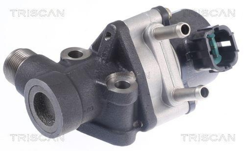 TRISCAN 8813 14026 Agr Ventil f&uuml;r Nissan Almera