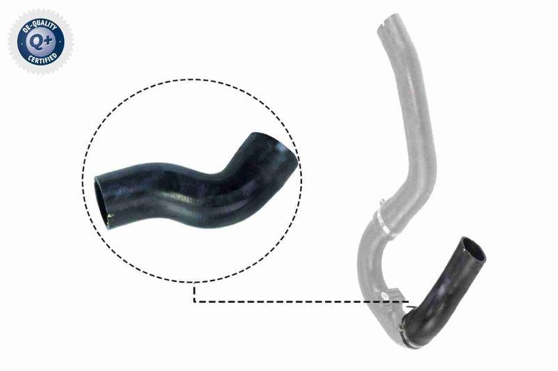 VAICO V24-0711 Ladeluftschlauch Klein f&uuml;r FIAT