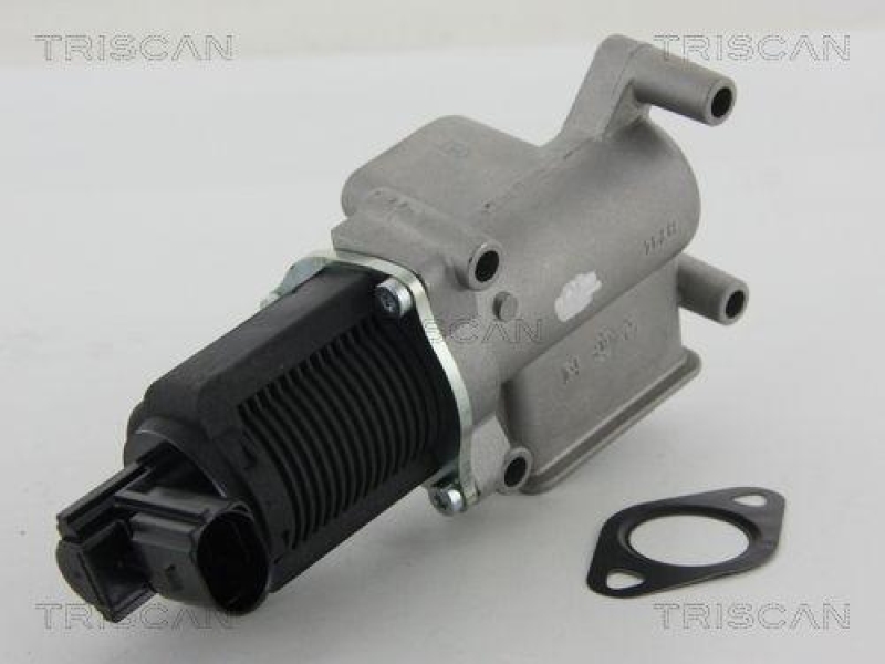 TRISCAN 8813 15063 Agr Ventil f&uuml;r Fiat/Psa