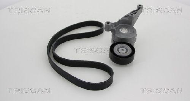 TRISCAN 8642 29001 Keilrippenriemensatz f&uuml;r Audi, Seat, Skoda, Vw