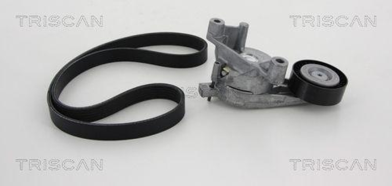 TRISCAN 8642 29002 Keilrippenriemensatz f&uuml;r Audi, Seat, Skoda, Vw