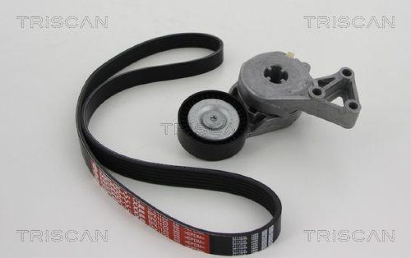 TRISCAN 8642 29003 Keilrippenriemensatz f&uuml;r Audi, Seat, Skoda, Vw