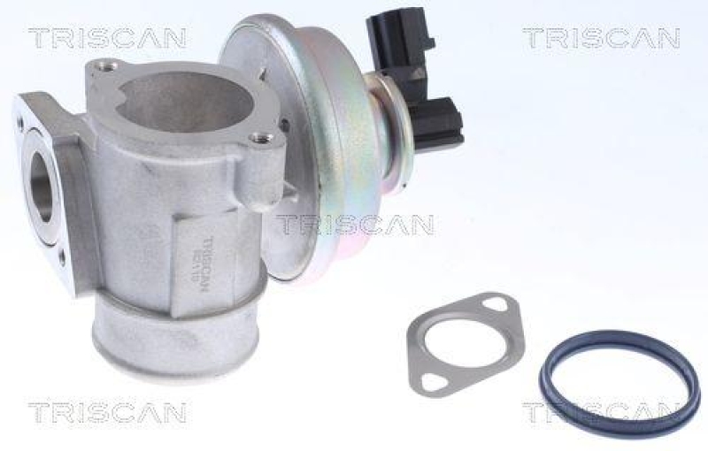 TRISCAN 8813 16054 Agr Ventil f&uuml;r Ford/Volvo/Mazda