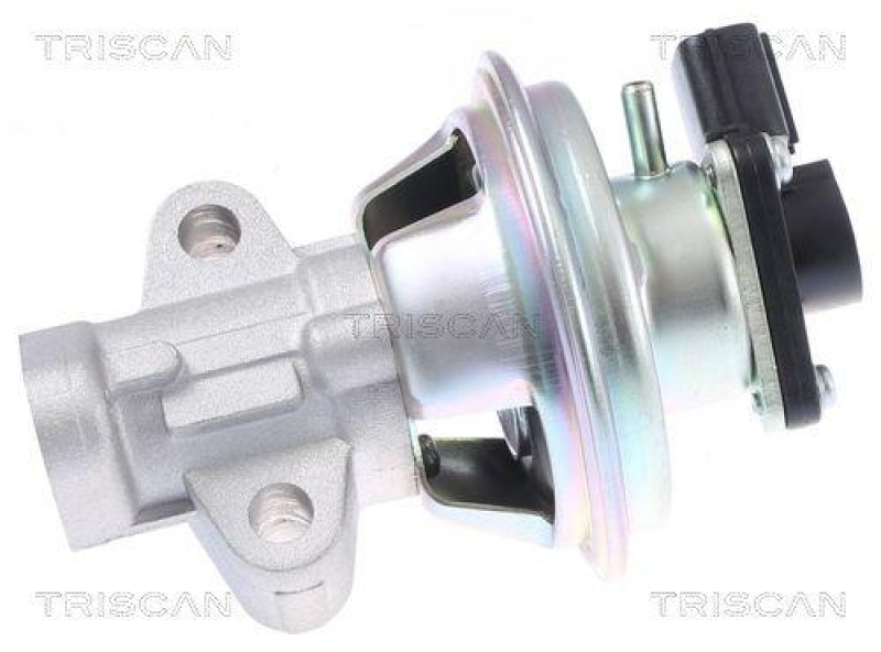 TRISCAN 8813 16069 Agr Ventil f&uuml;r Ford/Landrover