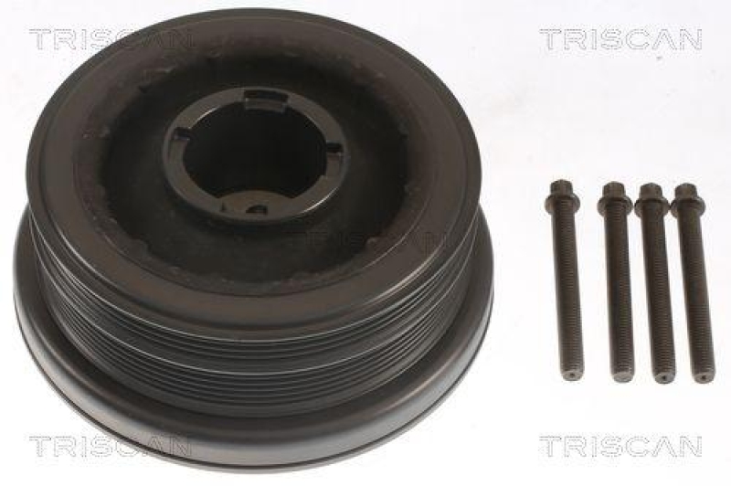 TRISCAN 8643 11008a Riemenscheibe für Bmw