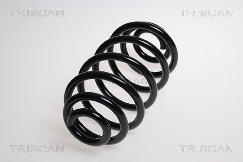 TRISCAN 8750 15100 Spiralfeder Hinten für Fiat