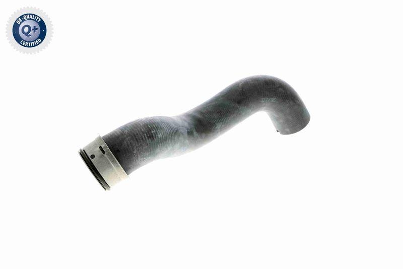 VAICO V30-1656 K&uuml;hlerschlauch K&uuml;hler, Anschlu&szlig; unten f&uuml;r MERCEDES-BENZ