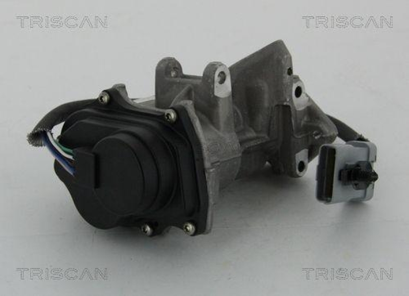 TRISCAN 8813 17019 Agr Ventil f&uuml;r Ford/Landrover
