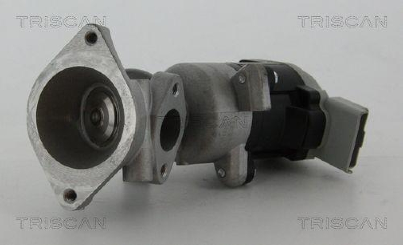 TRISCAN 8813 17020 Agr Ventil f&uuml;r Ford/Landrover