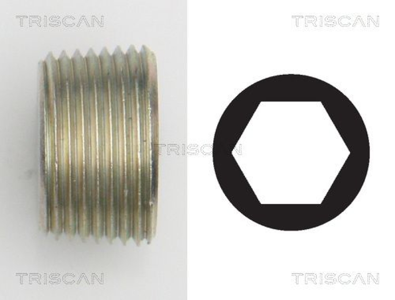 TRISCAN 9500 1015 Verschlussschraube Ölwanne