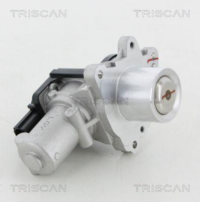TRISCAN 8813 18045 Agr Ventil f&uuml;r Hyundai, Kia