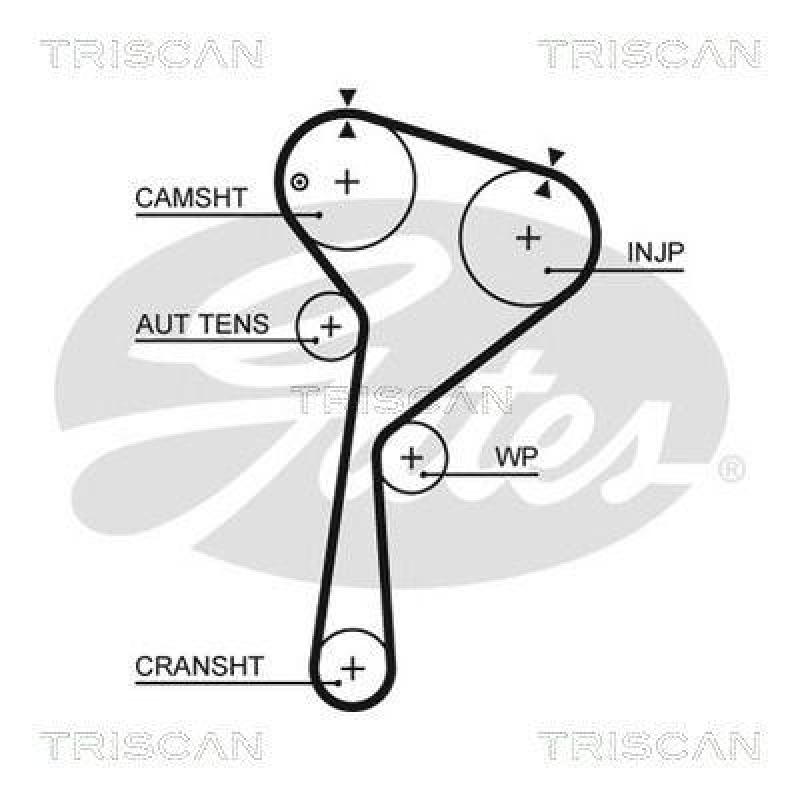 TRISCAN 8645 5675xs Zahnriemen für Dacia, Nissan, Renault
