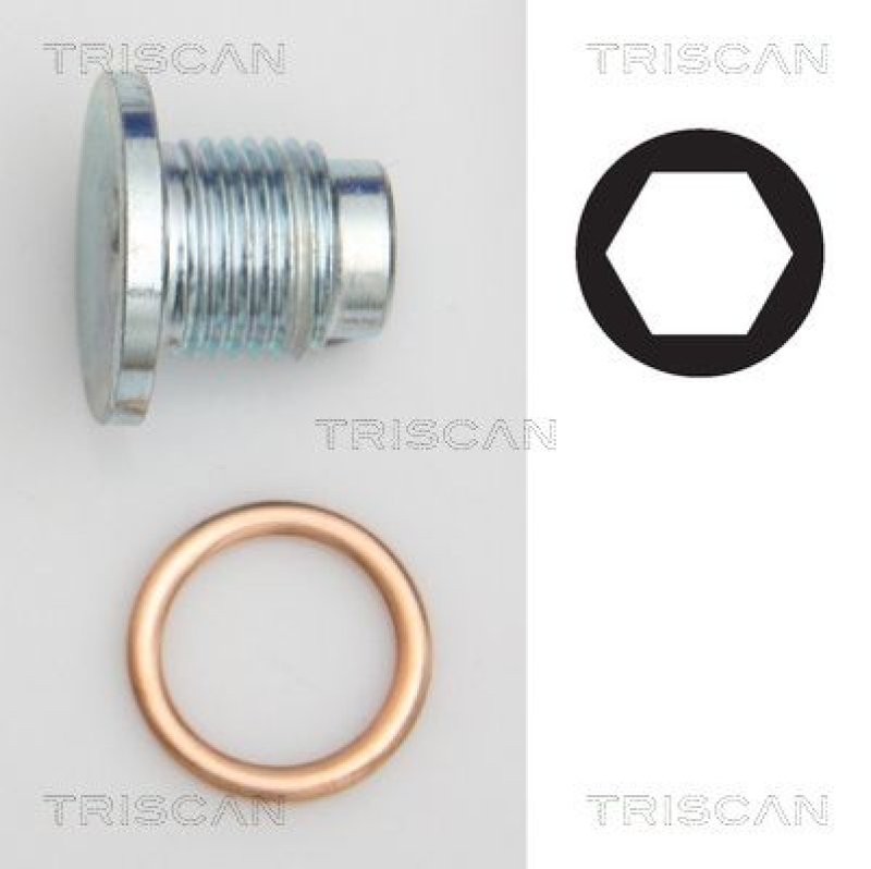 TRISCAN 9500 1019 Verschlussschraube Ölwanne