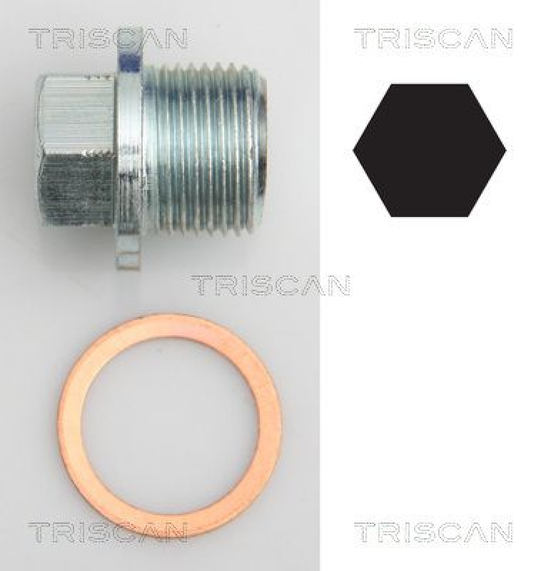 TRISCAN 9500 1022 Ölablassschraube für M20X1.5