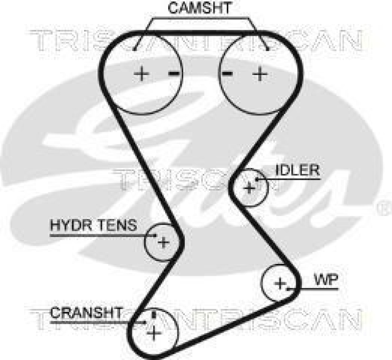 TRISCAN 8645 T246 Zahnriemen