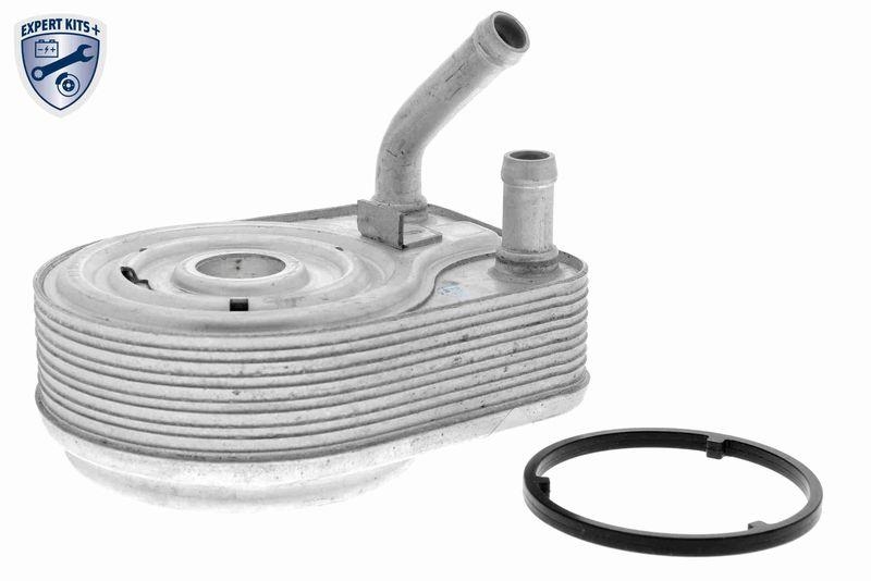 ACKOJA A52-60-0008 Ölkühler, Motoröl mit Dichtung für HYUNDAI