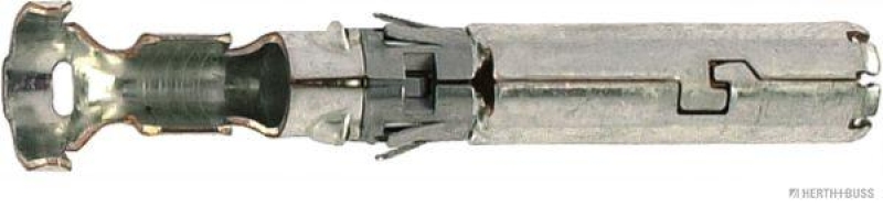 HERTH+BUSS 50251863 Kontaktbuchse 4 mm²
