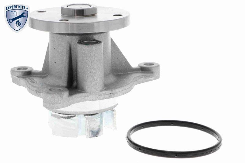 ACKOJA A53-50010 Wasserpumpe, Motorkühlung mit Dichtung für KIA