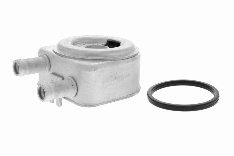 ACKOJA A52-60-0019 Ölkühler, Motoröl für HYundAI